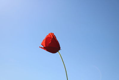 Low angle view of red flag against blue sky