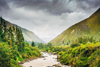 Scenic view of green landscape against sky