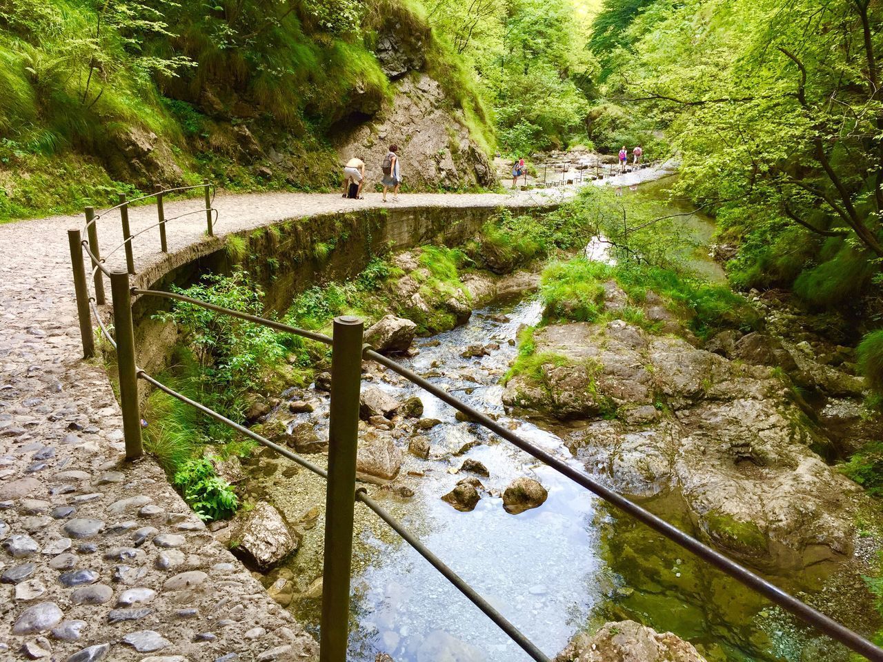 HIGH ANGLE VIEW OF FOOTBRIDGE OVER RIVER