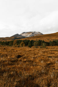 Scenic view of landscape against sky