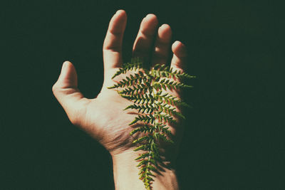 Close-up of human hand