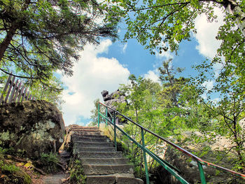 Low angle view of stairs and trees against sky