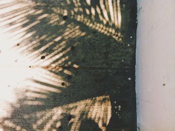 Full frame shot of shadow