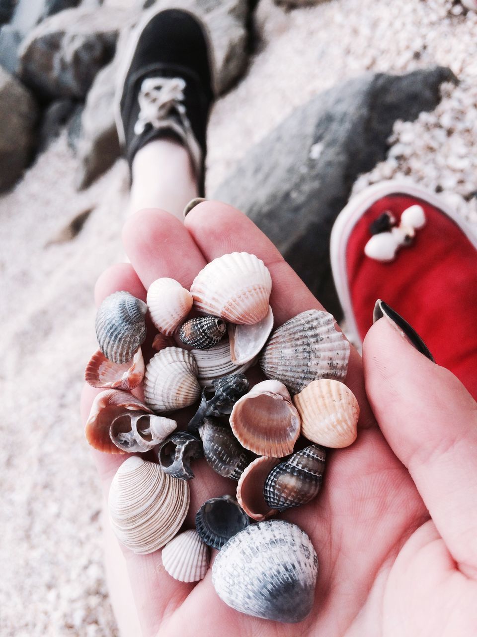 person, close-up, holding, leisure activity, part of, unrecognizable person, lifestyles, beach, food and drink, human finger, focus on foreground, personal perspective, seashell, high angle view, food, ball, pebble