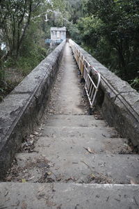 Footpath amidst trees in forest