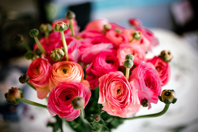 Close-up of pink rose bouquet