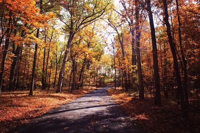 Empty road passing through forest