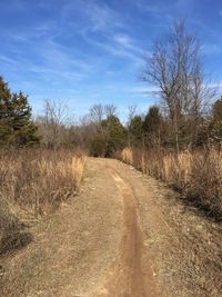 Road amidst bare trees against sky