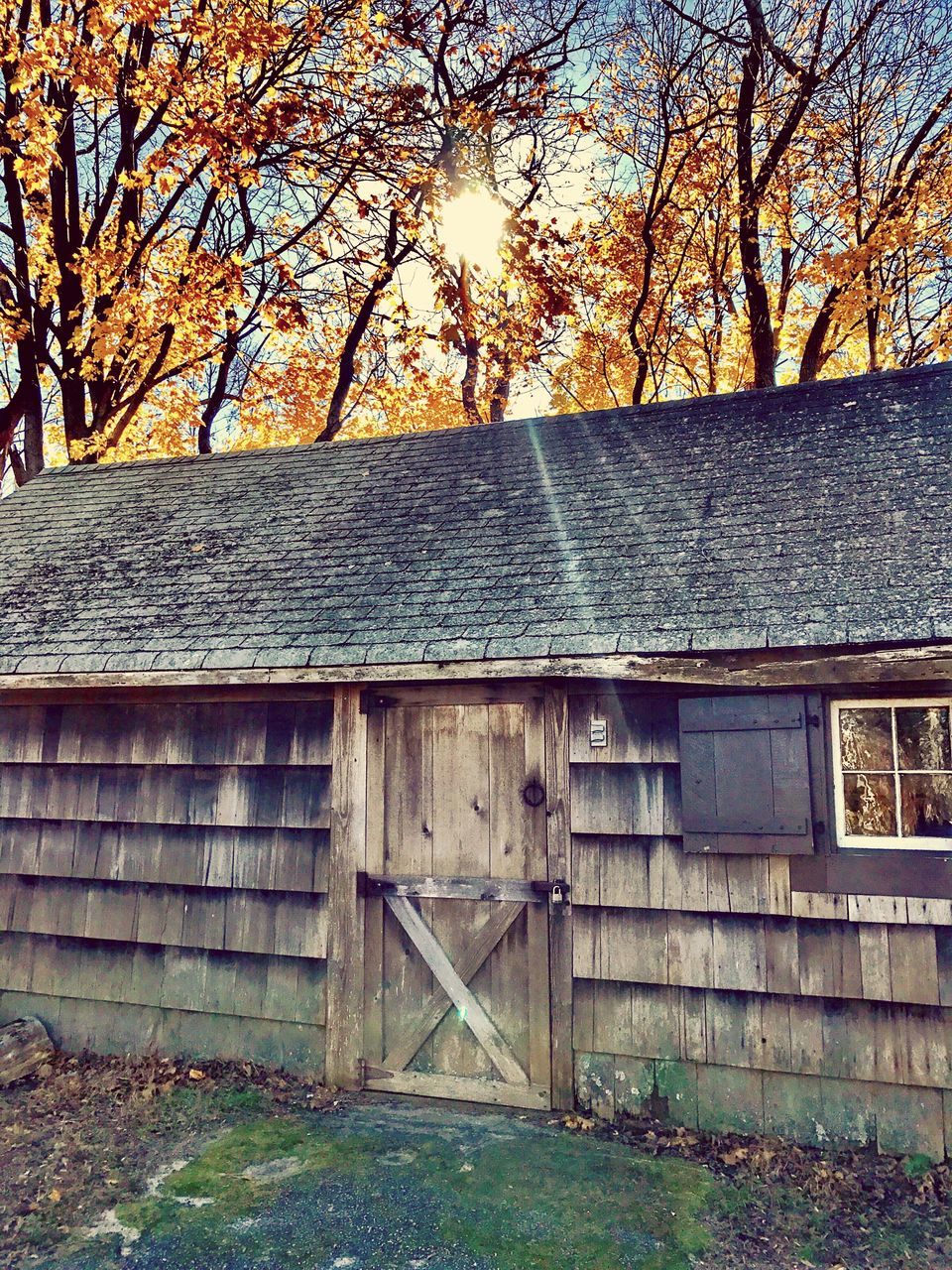 ABANDONED HOUSE AGAINST TREES