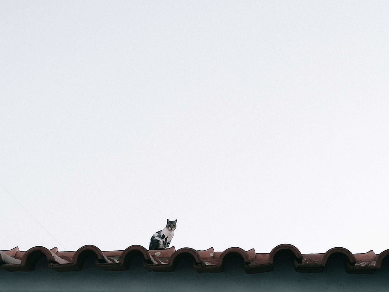 LOW ANGLE VIEW OF HORSE SCULPTURE ON ROOF OF BUILDING