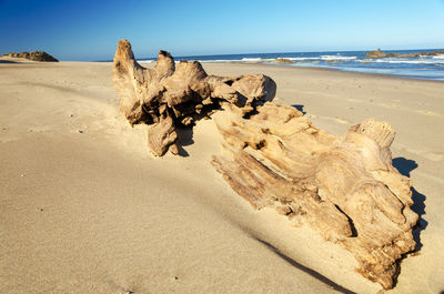 High angle view of driftwood on sand at beach against clear sky