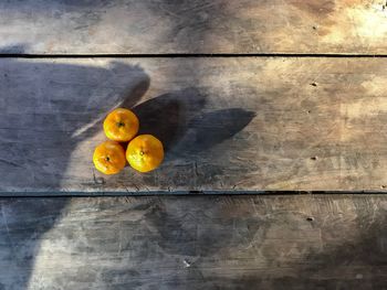 Directly above shot of fruits on table