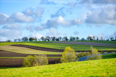 Scenic view of agricultural field against sky