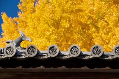 Low angle view of buddhist temple roof against autumn trees