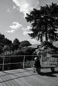 Rear view of man standing by tree against sky