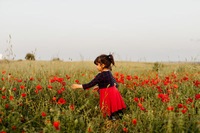 Rear view of woman standing amidst yellow flowering plants on field