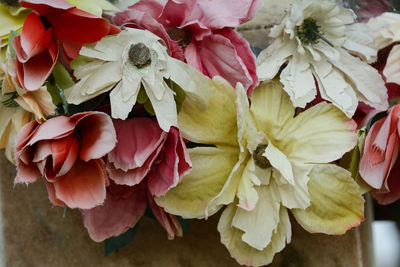 Close-up of red flowers