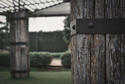 Close-up of wooden door