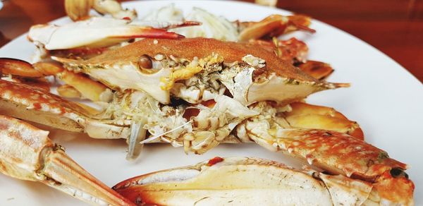 Close-up of seafood in plate on table