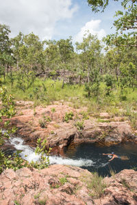 Scenic view of river amidst trees in forest against sky