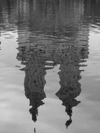 Reflection of tree in puddle