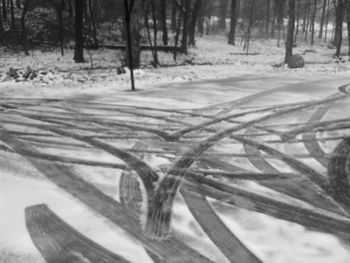 Trees on snow covered landscape