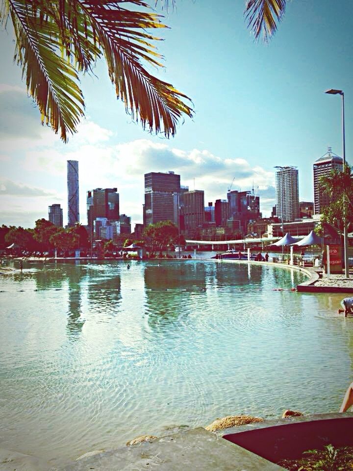 building exterior, architecture, built structure, city, water, skyscraper, sky, tree, cityscape, tall - high, palm tree, urban skyline, river, waterfront, modern, office building, tower, reflection, building, city life