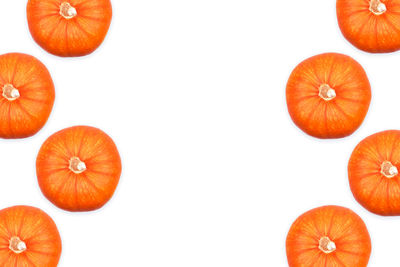 Directly above shot of pumpkins against white background