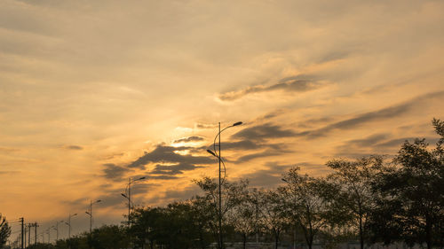 Silhouette trees against sky during sunset