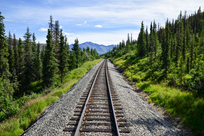 Empty train tracks through the alaskan landscape