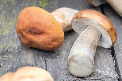 High angle view of mushrooms on table