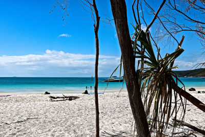 Scenic view of beach against blue sky