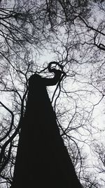 Low angle view of bare tree against sky