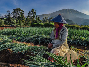 Rear view of woman sitting on field