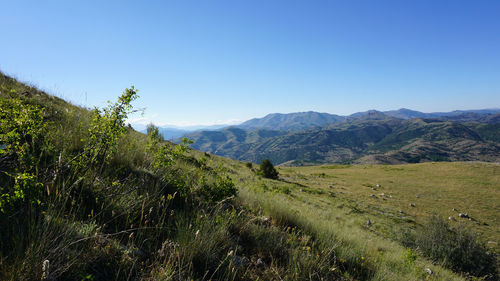 Scenic view of landscape against clear sky