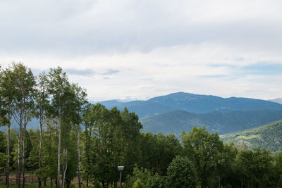 Scenic view of trees and mountains against sky