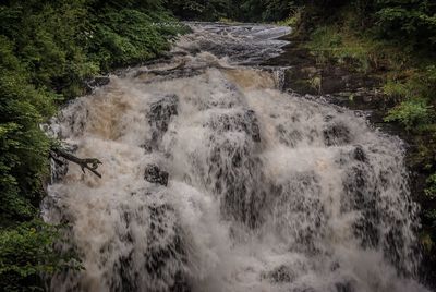 Scenic view of waterfall in forest