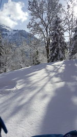 Snow covered field by trees against mountain