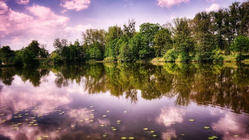 Reflection of trees in lake against sky