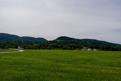 Scenic view of field against sky