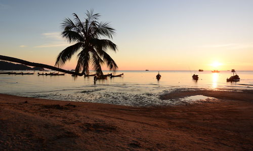 Silhouette palm trees on beach against sky during sunset