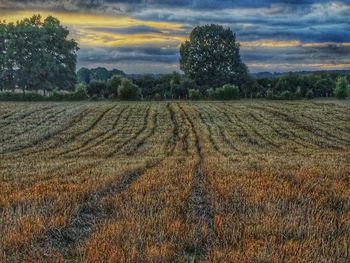 Scenic view of field against sky during sunset