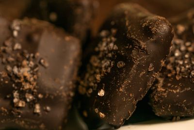 Close-up of chocolate cake