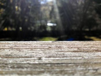 Close-up of wooden surface