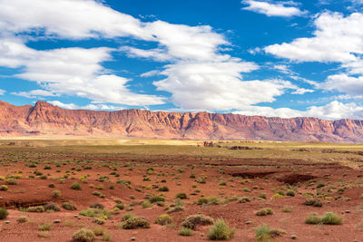 Scenic view of eroded landscape against cloudy sky at grand canyon national park