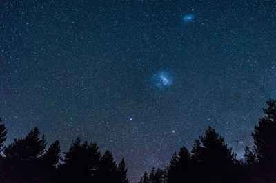 Low angle view of silhouette trees against sky at night