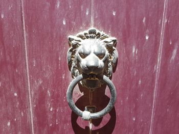 Close-up of door knocker