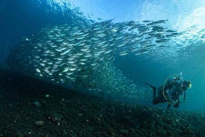 underwater