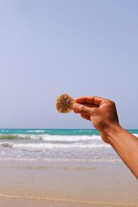 Close-up of hand on beach against clear sky