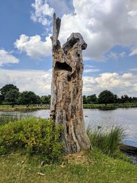 Tree by lake against sky